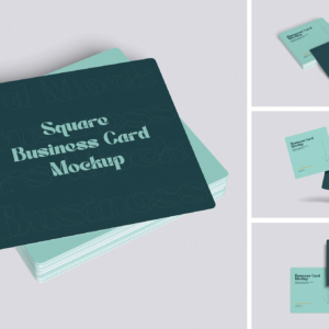 Business Card P01/01